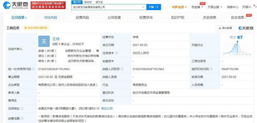 新東方拓展教育服務版圖 成立教育咨詢公司并擴展兒童看護與網絡文化經營
